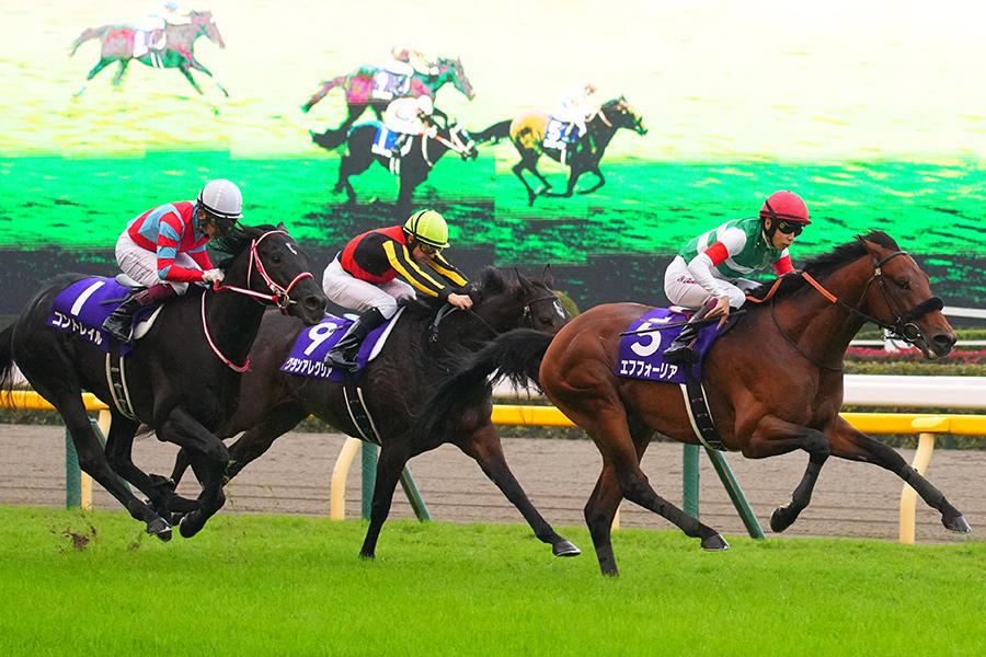 有馬記念 ファン投票】エフフォーリアが歴代最多得票で1位！クロノ